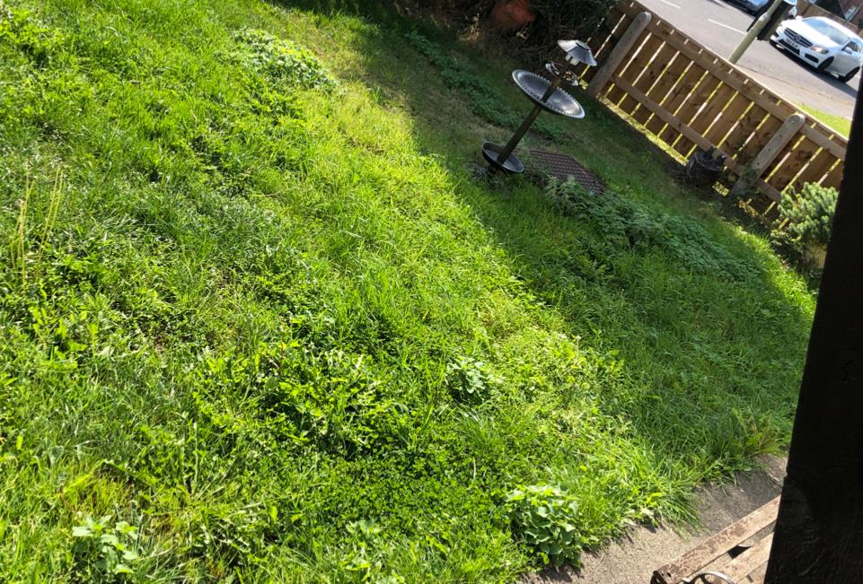 3 bedroom House in Jarrow House Exchange