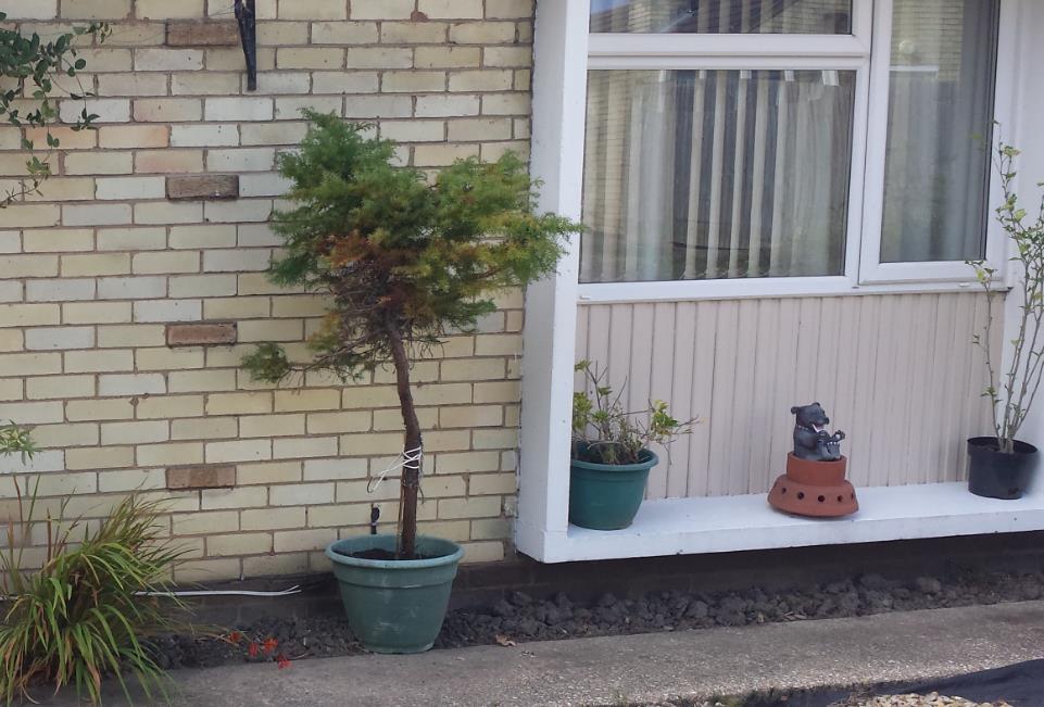 1 bedroom Bungalow in Wisbech House Exchange